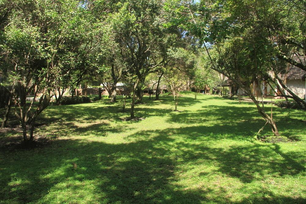 Nalepo Mara Lodge มาไซมารา ภายนอก รูปภาพ